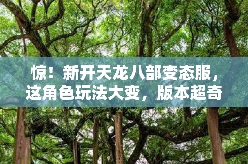 新开天龙八部变态服图片