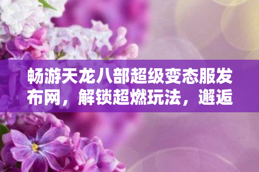畅游天龙八部超级变态服发布网图片
