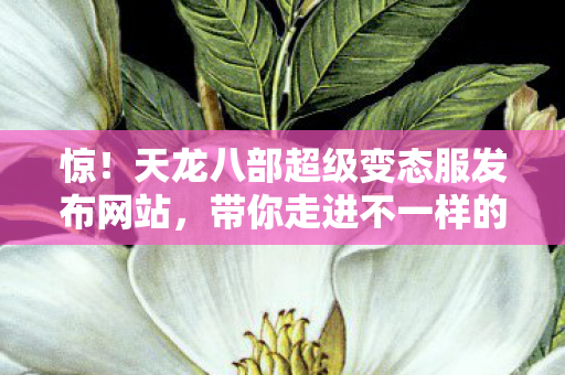 带你走进不一样的奇葩江湖天龙私服图片