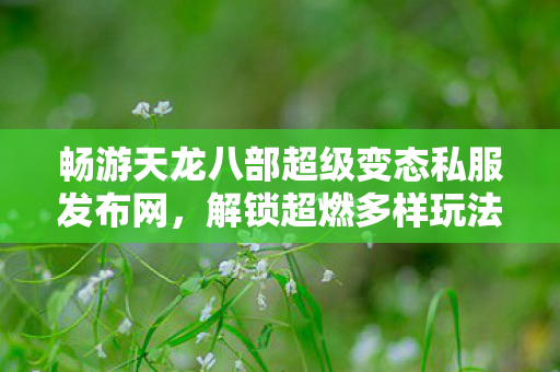 畅游天龙八部超级变态私服发布网图片