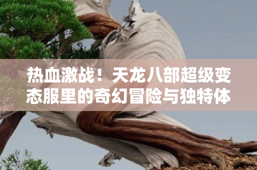 天龙八部超级变态服里的奇幻冒险与独特体验天龙八部私服图片