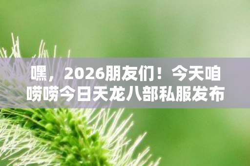 今天咱唠唠今日天龙八部私服发布网那些事儿图片