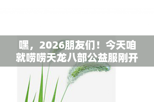 今天咱就唠唠天龙八部公益服刚开一秒这事儿图片