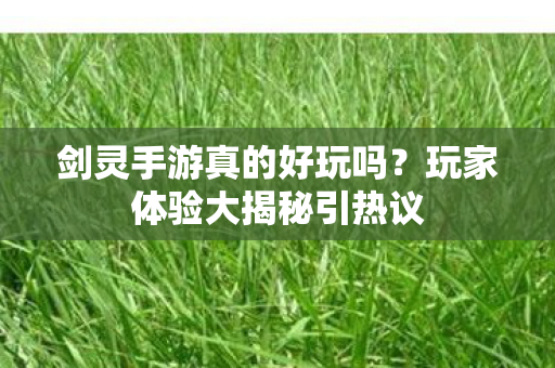 玩家体验大揭秘引热议图片