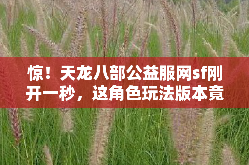 这角色玩法版本竟藏这般戏精反差笑点图片
