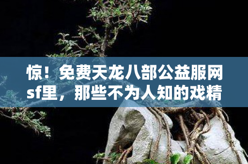 那些不为人知的戏精玩法大揭秘天龙八部私服图片