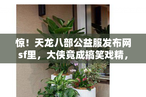 天龙八部公益服发布网sf里图片