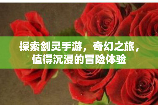 值得沉浸的冒险体验图片