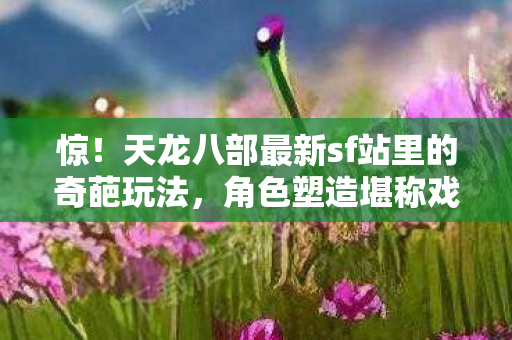 天龙八部最新sf站里的奇葩玩法图片