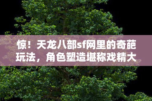 天龙八部sf网里的奇葩玩法图片