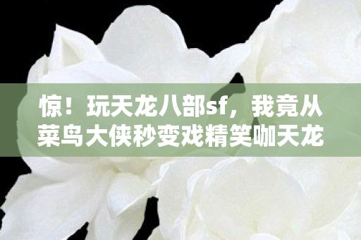 我竟从菜鸟大侠秒变戏精笑咖天龙私服图片