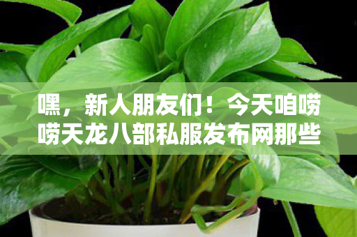 今天咱唠唠天龙八部私服发布网那些事儿图片