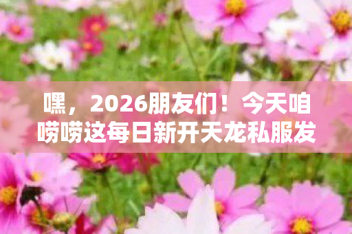今天咱唠唠这每日新开天龙私服发布网图片
