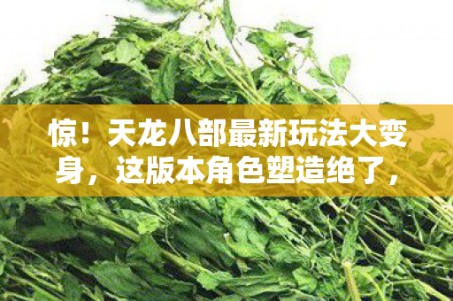 天龙八部最新玩法大变身图片