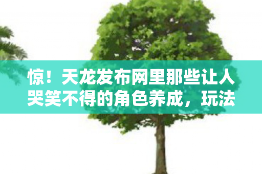 天龙发布网里那些让人哭笑不得的角色养成图片