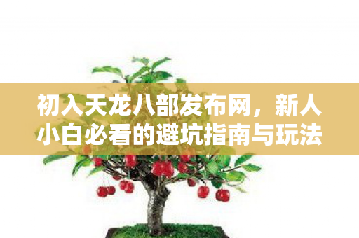 新人小白必看的避坑指南与玩法攻略图片