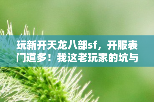 玩新开天龙八部sf图片