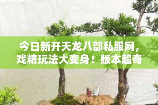 今日新开天龙八部私服网图片