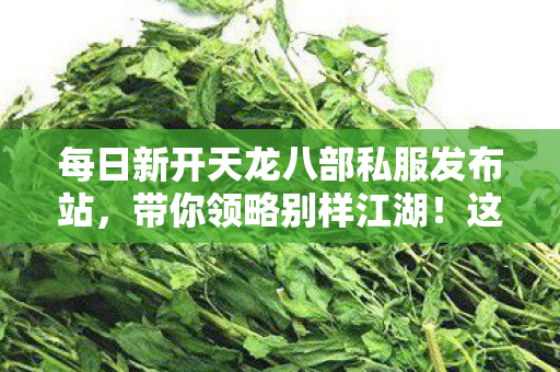 每日新开天龙八部私服发布站图片