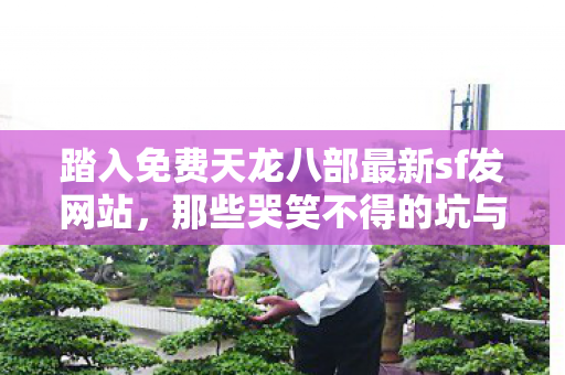 踏入免费天龙八部最新sf发网站图片