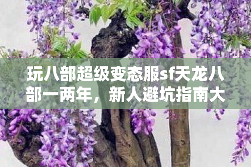 玩八部超级变态服sf天龙八部一两年图片