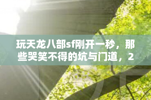 玩天龙八部sf刚开一秒图片