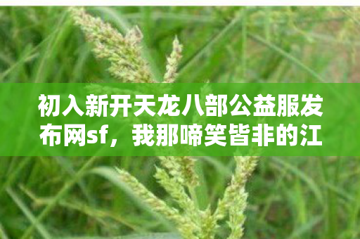 初入新开天龙八部公益服发布网sf图片