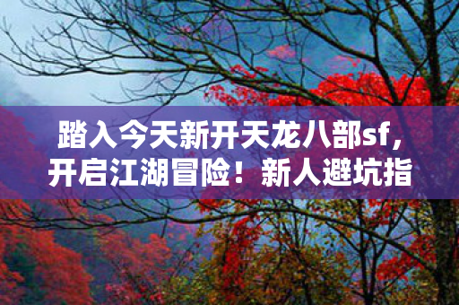 新人避坑指南大公开天龙八部私服图片