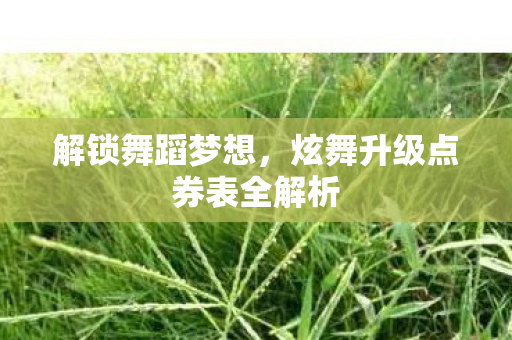 炫舞升级点券表全解析图片