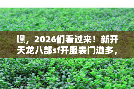 新开天龙八部sf开服表门道多图片