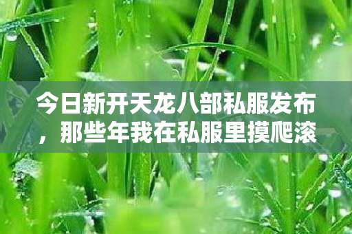 那些年我在私服里摸爬滚打的奇妙经历天龙八部私服图片