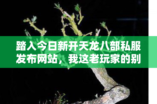 踏入今日新开天龙八部私服发布网站图片