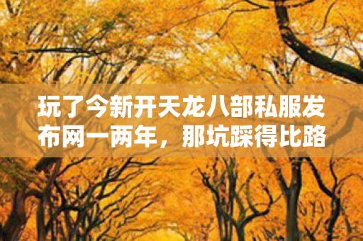 玩了今新开天龙八部私服发布网一两年图片