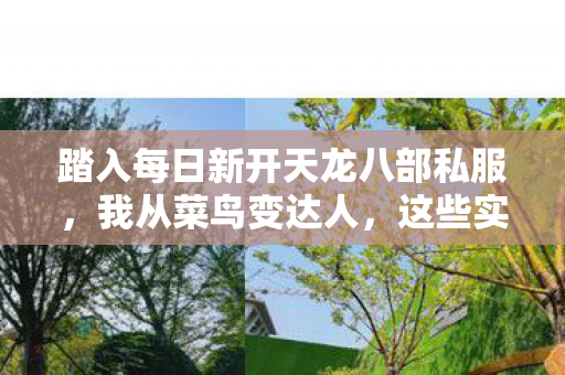踏入每日新开天龙八部私服图片