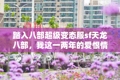 踏入八部超级变态服sf天龙八部图片