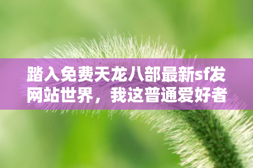 我这普通爱好者的别样历程与实用门道大公开图片