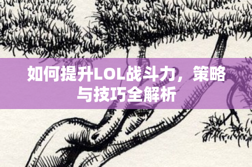 如何提升LOL战斗力图片