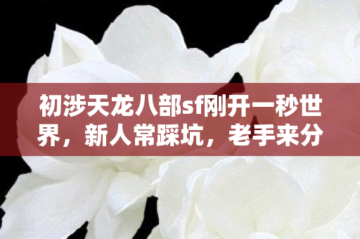 老手来分享实战避坑指南天龙私服图片