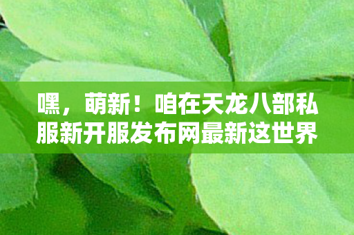 咱在天龙八部私服新开服发布网最新这世界里图片