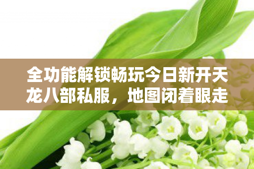 全功能解锁畅玩今日新开天龙八部私服图片
