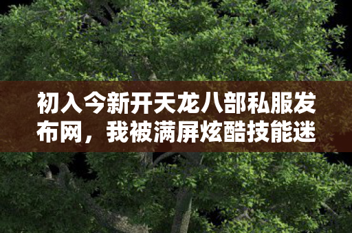 初入今新开天龙八部私服发布网图片