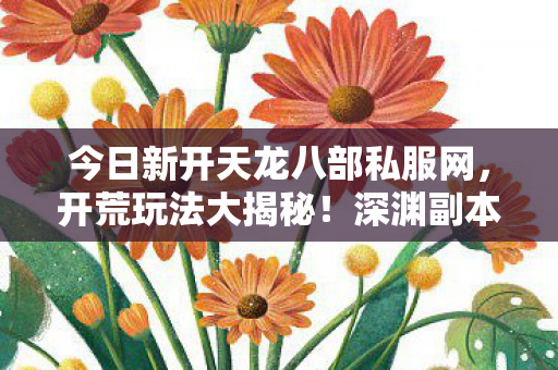 神秘 NPC 暗藏玄机天龙八部私服图片