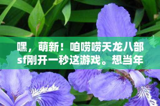 咱唠唠天龙八部sf刚开一秒这游戏图片