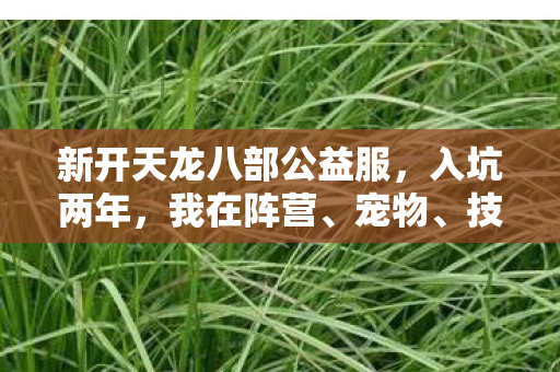 技能上踩过的那些坑天龙私服图片