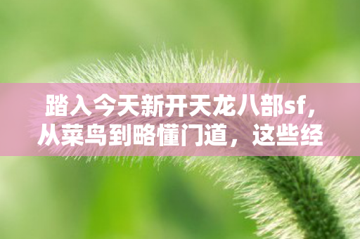 踏入今天新开天龙八部sf图片