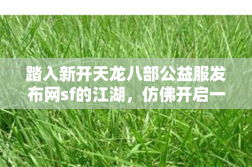 踏入新开天龙八部公益服发布网sf的江湖图片