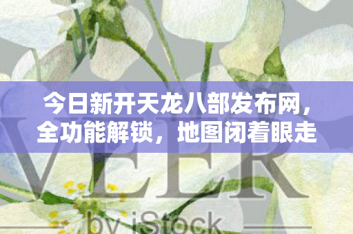 PK乱杀的骨灰级玩法天龙八部私服图片
