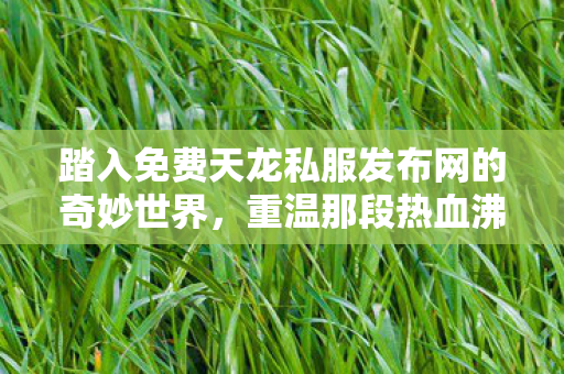 重温那段热血沸腾的江湖岁月天龙八部私服图片