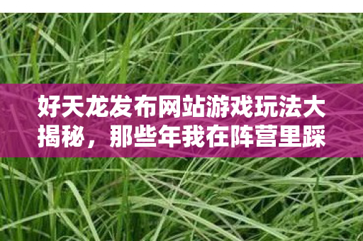 那些年我在阵营里踩过的坑与摸出的野路子天龙八部私服图片