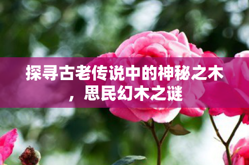 探寻古老传说中的神秘之木图片